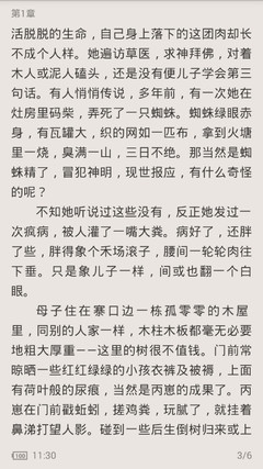 为什么办理菲律宾落地签受到很多人的青睐